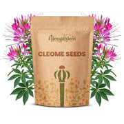 Cleome Seeds – Cleome hassleriana