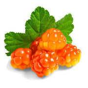 Cloudberry Sweet Berry Seeds