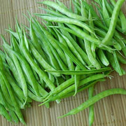 Cluster Bean Seeds