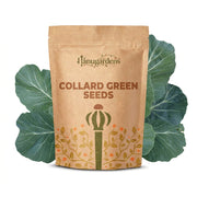 Collard Green Seeds – Brassica oleracea var. viridis
