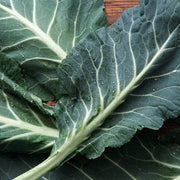 Green Collard Greens Seeds