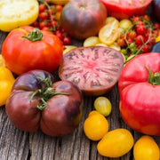 Mixed Color Beefsteak Tomato Seeds