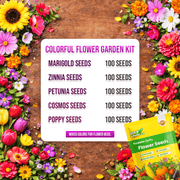 Colorful Flower Garden Kit