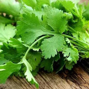 parsley Coriander Seeds
