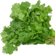 Dwarf Lemon Coriander Seeds, Herbal