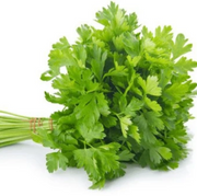 Dwarf Lemon Coriander Seeds, Herbal