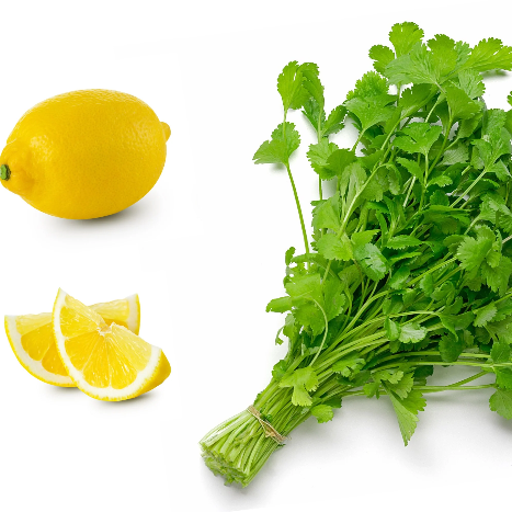 Dwarf Lemon Coriander Seeds, Herbal