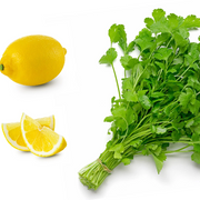 Dwarf Lemon Coriander Seeds, Herbal