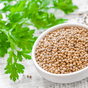 Green Coriander Seeds, Herbal
