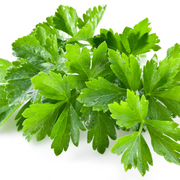 Fiesta Green Coriander Seeds, Herbal