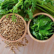 Green Coriander Seeds, Herbal