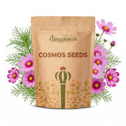 Cosmos Seeds – Cosmos bipinnatus