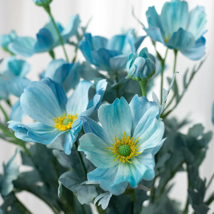Teal Blue Cosmos Seeds