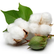 White Cotton Seeds