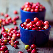 Cranberry Berry Seeds