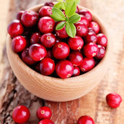 Cranberry Berry Seeds