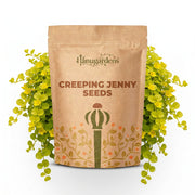 Creeping Jenny Seeds – Lysimachia nummularia