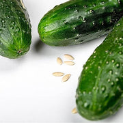 Cucumber Seeds - for Home Gardens Seeds