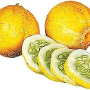 Lemon Cucumber Seeds