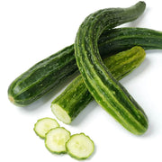 Long Greek Cucumber Seeds