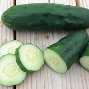 Marketmore Cucumber Seeds