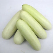 White Cucumber Seeds