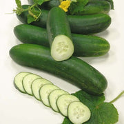 Cucumber Seeds - for Home Gardens Seeds
