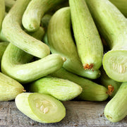 Armeno Yard Cucumber Seeds