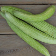 Armeno Yard Cucumber Seeds