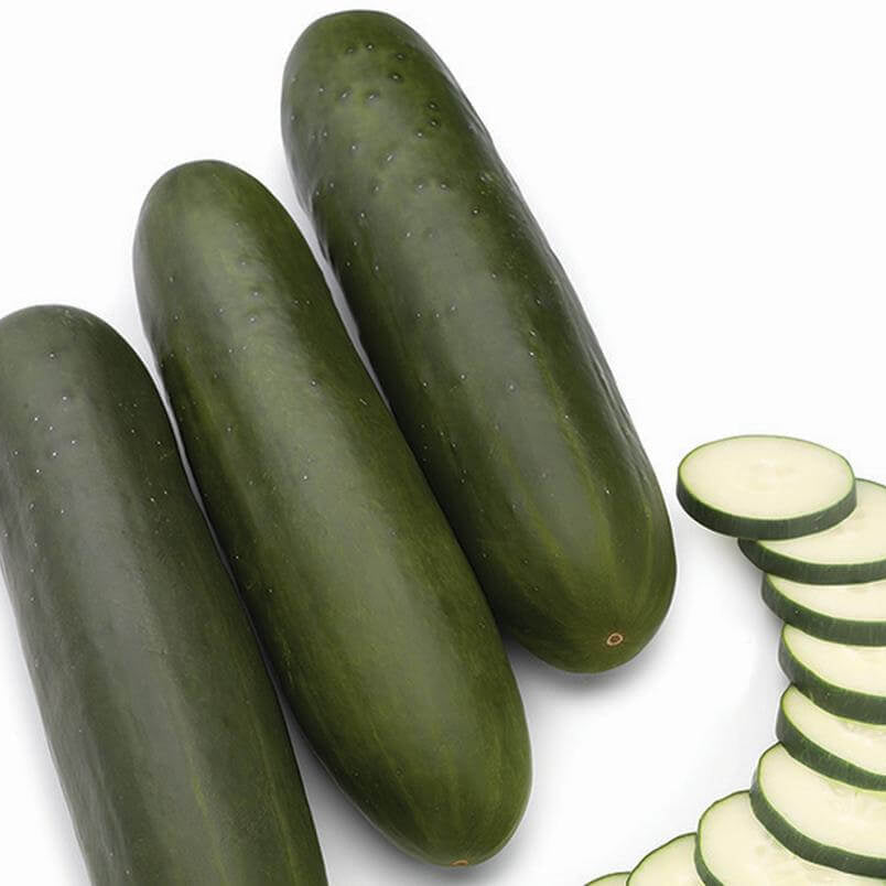Army Green Cucumber Seeds