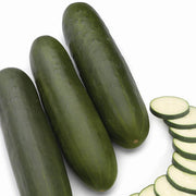 Army Green Cucumber Seeds