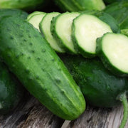 Carolina Cucumber Seeds