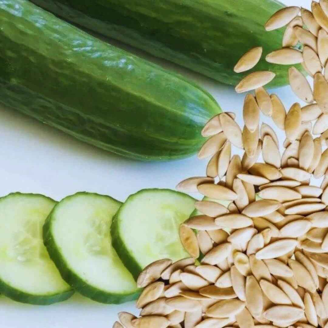 Cucumis Sativus Cucumber Seeds