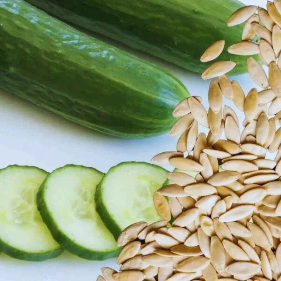 Cucumis Sativus Cucumber Seeds