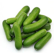 Holland Baby Cucumber Seeds
