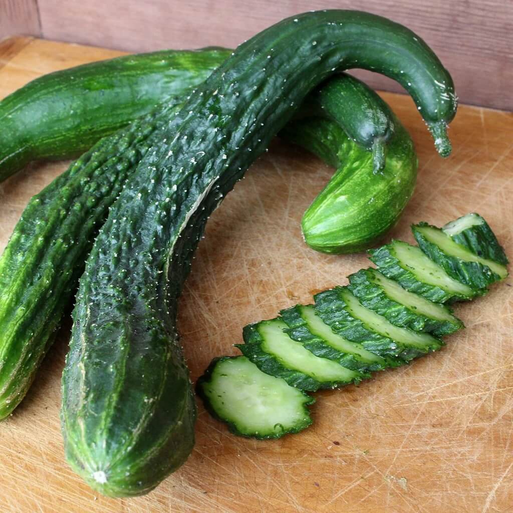 Long Greek Cucumber Seeds