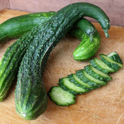Long Greek Cucumber Seeds