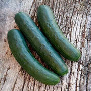 Marketmore Cucumber Seeds