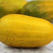 Quitoense Orange Cucumber Seeds
