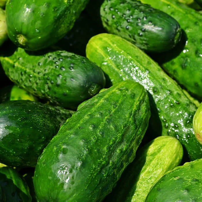 Cucumber Seeds - for Home Gardens Seeds