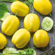 True Lemon Cucumber Seeds