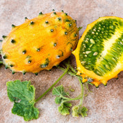 Jelly Melon Melon Seeds, Vegetabe