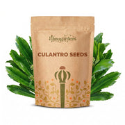 Culantro Seeds – Eryngium foetidum