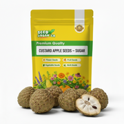Custard Seeds, Annona squamosa Fruit Seeds