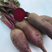 Cylindra Beetroot Seeds