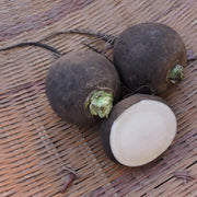 Deep Brown Radish Seeds