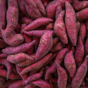 Dark Purple Sweet Potato Seeds -Vegetable Plant
