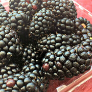 Dewberry Blackberry Berry Seeds