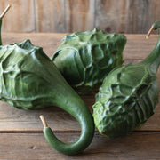 Dinosaur Gourd Seeds