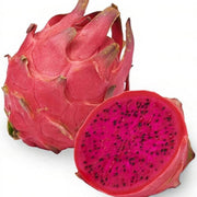Pink Dragon Seeds